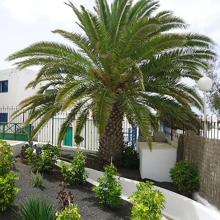 Cactus Πουέρτο Ντελ Κάρμεν