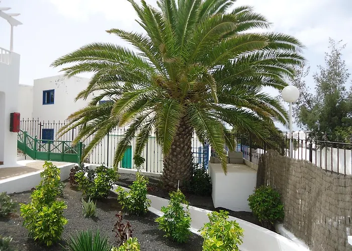 Cactus Puerto del Carmen (Lanzarote)